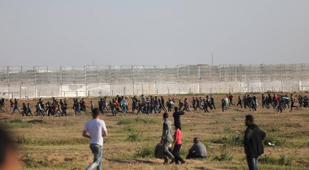 57306082_572368253268093_6167493077649850368_n