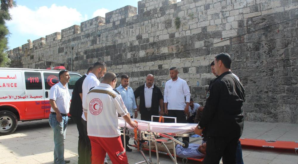 13254883_973156032798495_2079554107229496099_o