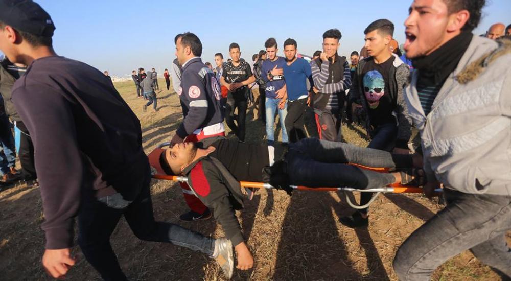 56949285_868672246814951_8218421437019455488_n