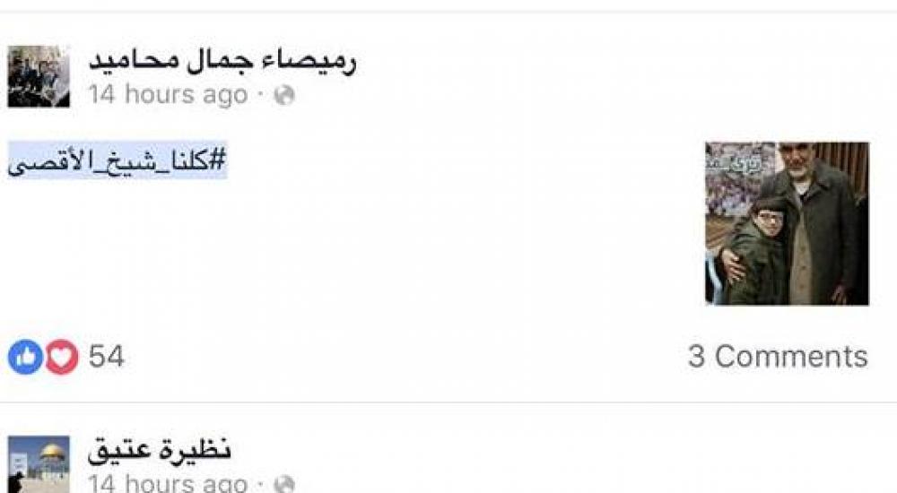 23414477_727409687468695_2048456447_n