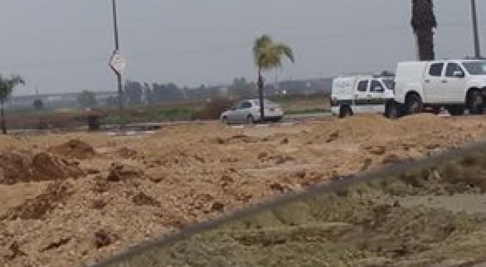 16730193_10208355748516335_7056394304768164693_n