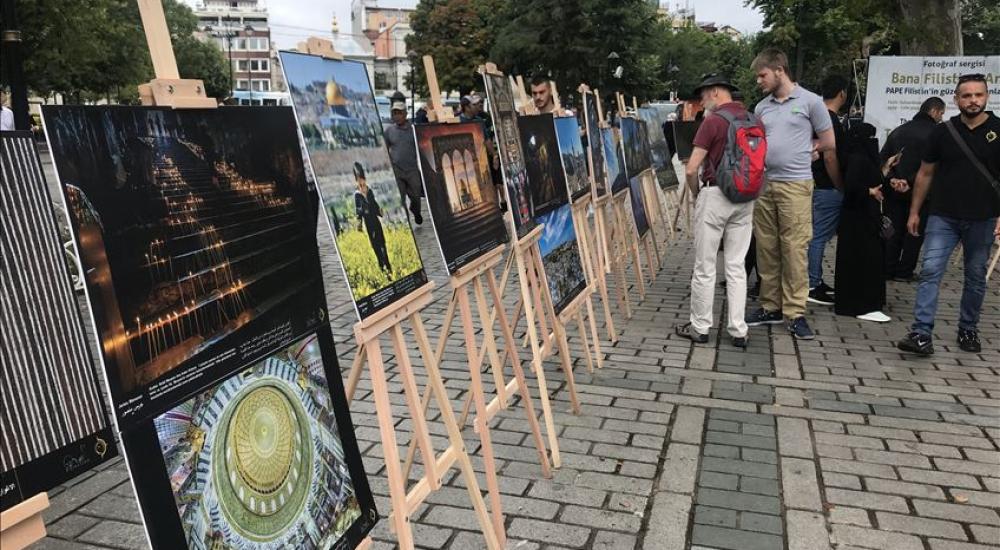 thumbs_b2_8e2221344115762a33c736e129e35c46