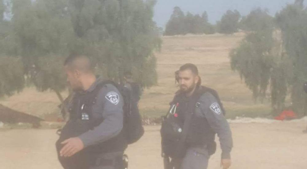 26907040_10210909206431187_6398616306728175307_n