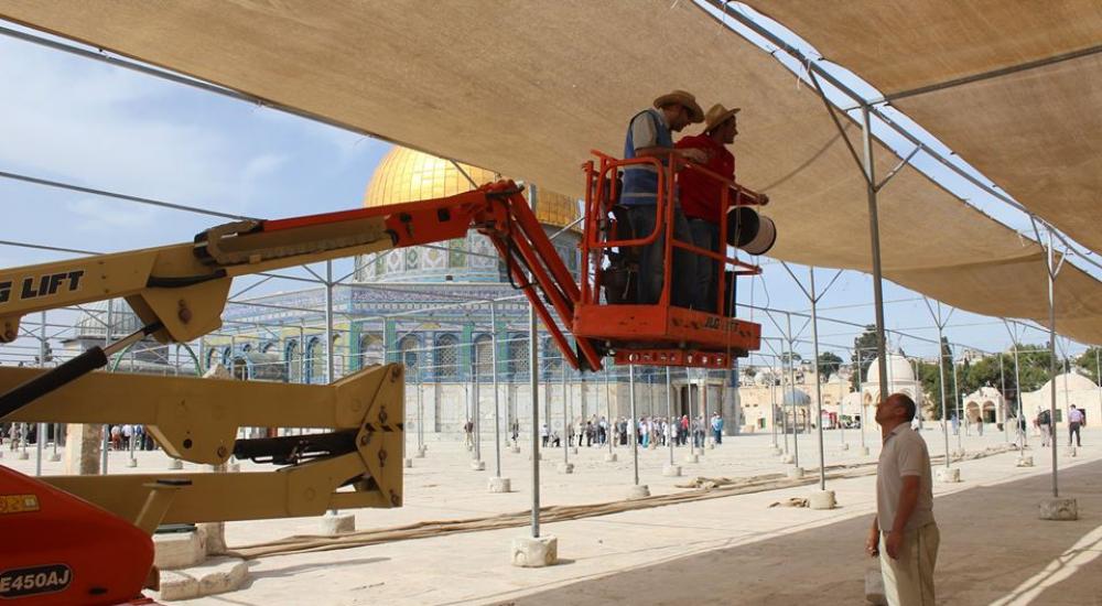 13221560_972581366189295_6137958146618402282_n