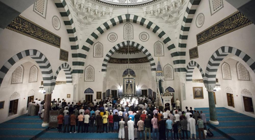 482f7156-9085-4039-a66a-056fa78fcb15