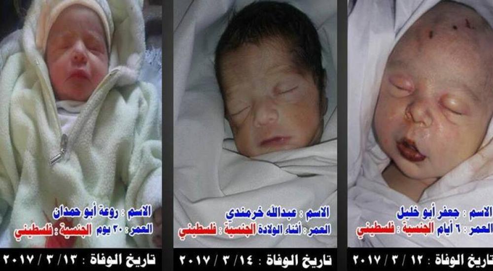 3 رضع فلسطينيين