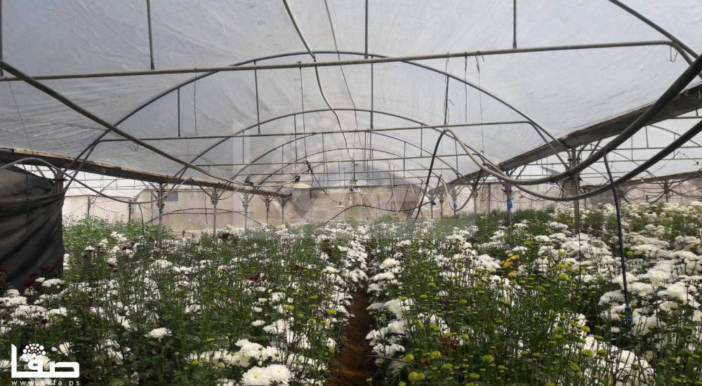 WhatsApp Image 2020-04-16 at 4.19.13 PM (1)