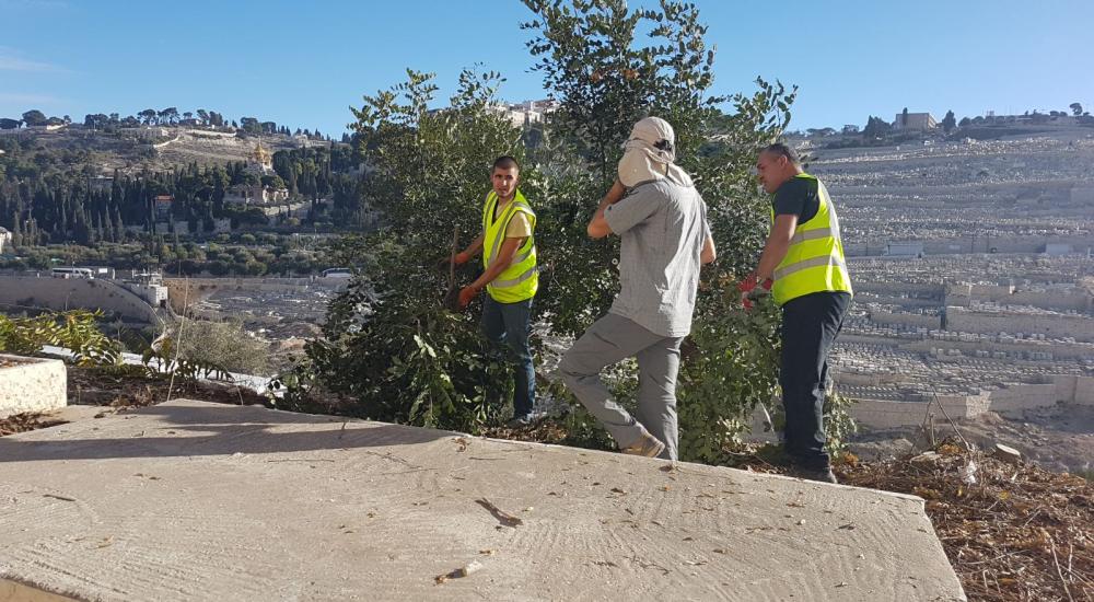 61472375-8c9e-4e15-981b-918cbf561848