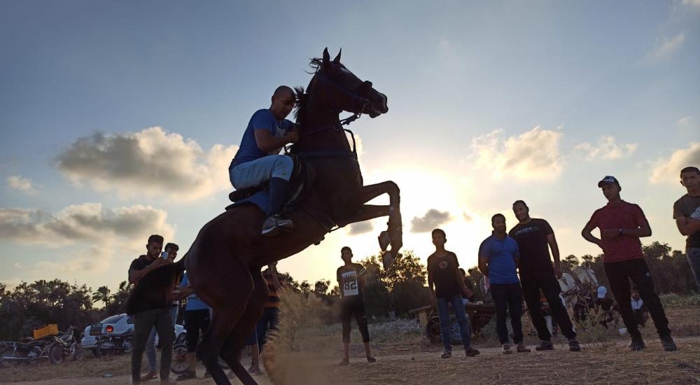 WhatsApp Image 2020-07-09 at 20.38.33 (1).jpeg