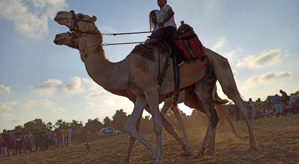 WhatsApp Image 2020-07-09 at 20.39.01 (1).jpeg