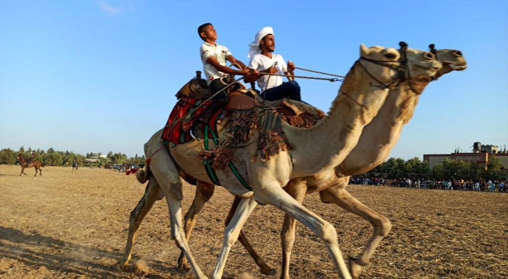 WhatsApp Image 2020-07-09 at 20.39.04.jpeg