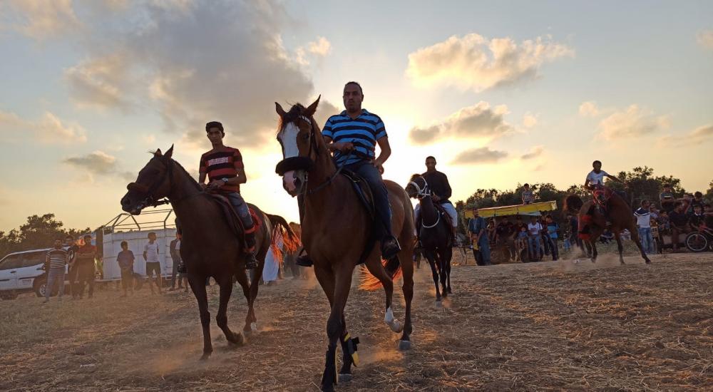 WhatsApp Image 2020-07-09 at 20.37.38.jpeg