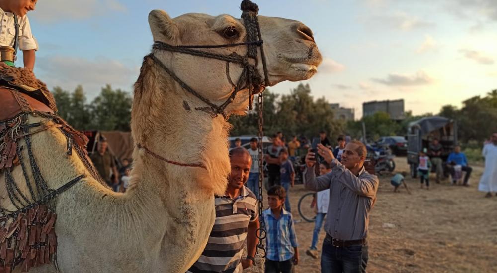 WhatsApp Image 2020-07-09 at 20.37.17.jpeg