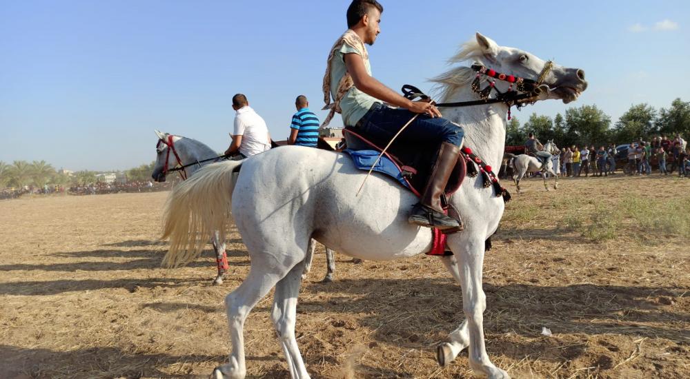 WhatsApp Image 2020-07-09 at 20.39.23.jpeg