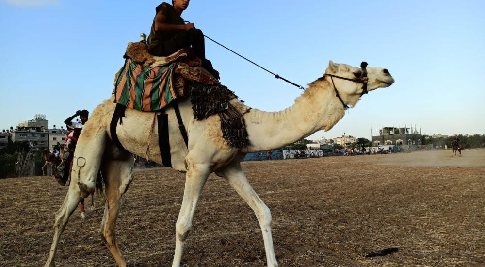 WhatsApp Image 2020-07-09 at 20.38.56.jpeg