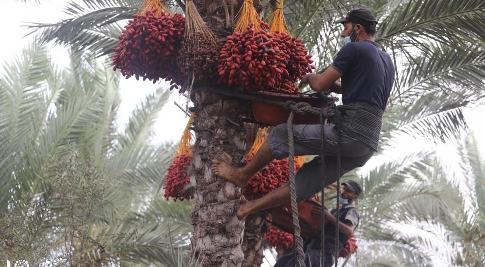 WhatsApp Image 2020-10-01 at 11.35.13 AM.jpg