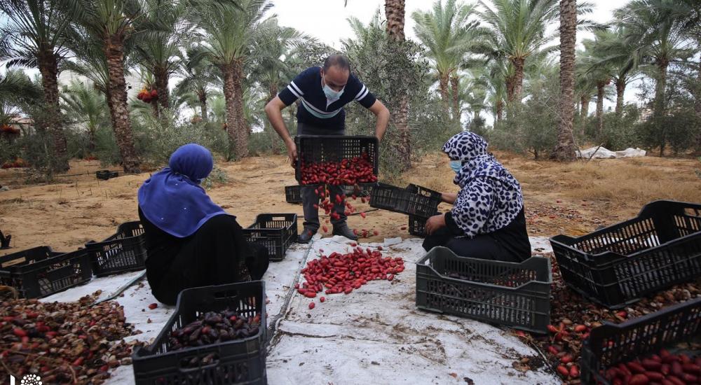 WhatsApp Image 2020-10-01 at 11.35.10 AM.jpg