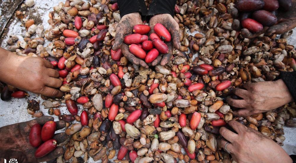 WhatsApp Image 2020-10-01 at 11.35.10 AM (1).jpg