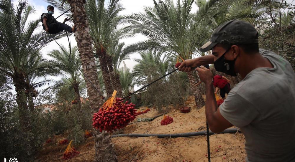 WhatsApp Image 2020-10-01 at 11.35.12 AM (1).jpg