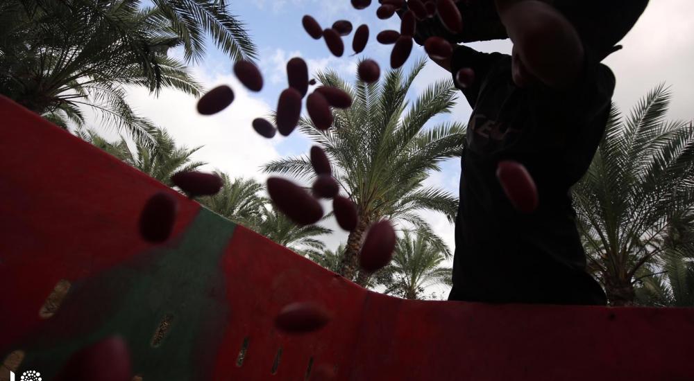 WhatsApp Image 2020-10-01 at 11.34.44 AM.jpg