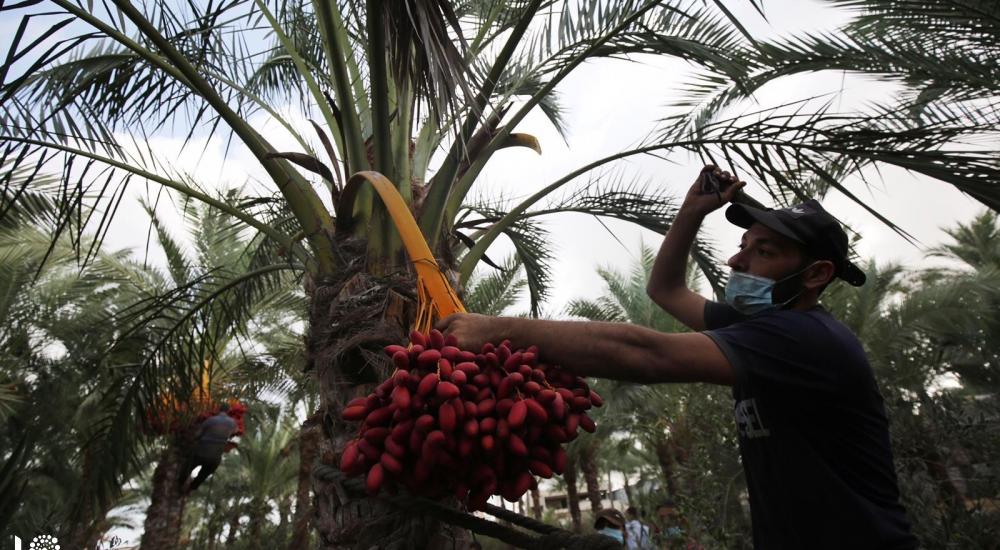 WhatsApp Image 2020-10-01 at 11.35.13 AM (1).jpg