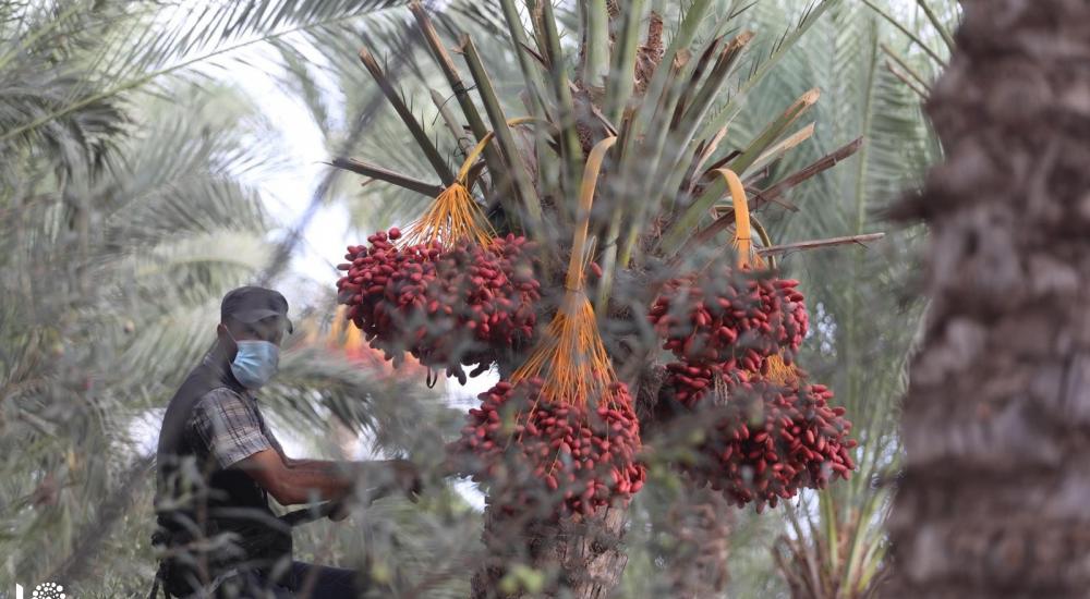 WhatsApp Image 2020-10-01 at 11.35.12 AM (2).jpg