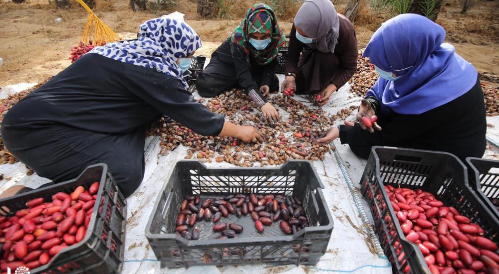 WhatsApp Image 2020-10-01 at 11.35.11 AM.jpg