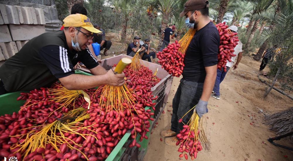 WhatsApp Image 2020-10-01 at 11.35.11 AM (1).jpg