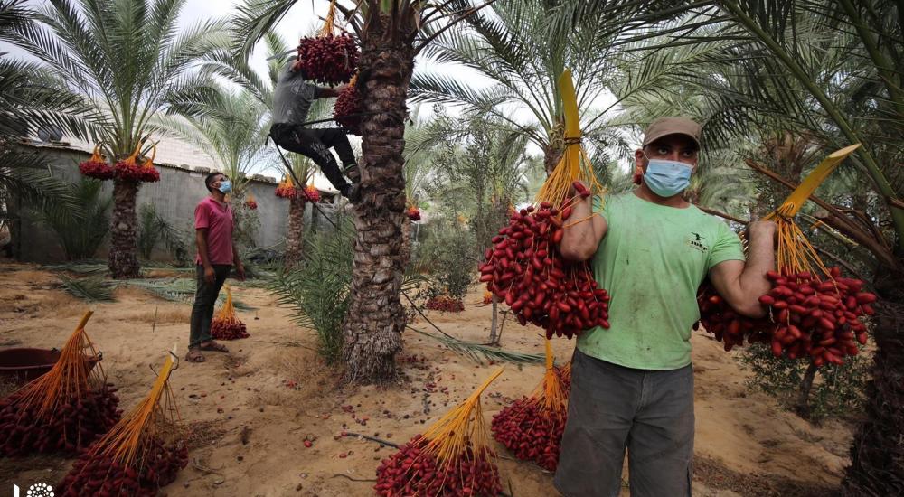 WhatsApp Image 2020-10-01 at 11.35.11 AM (2).jpg