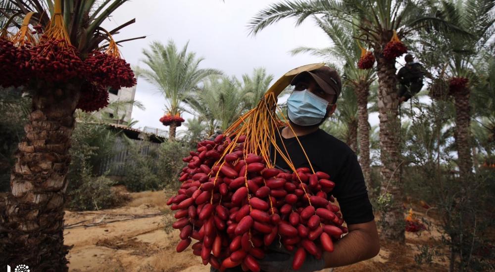 WhatsApp Image 2020-10-01 at 11.35.12 AM.jpg