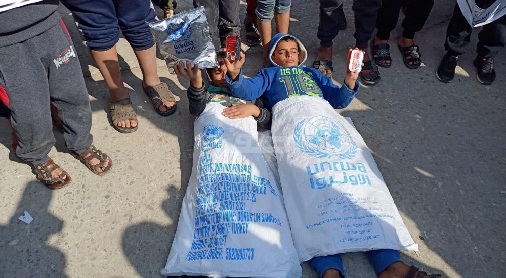 WhatsApp Image 2020-12-23 at 11.50.29 AM.jpg