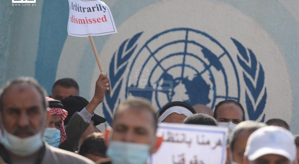 WhatsApp Image 2020-12-31 at 11.13.19 AM.jpg