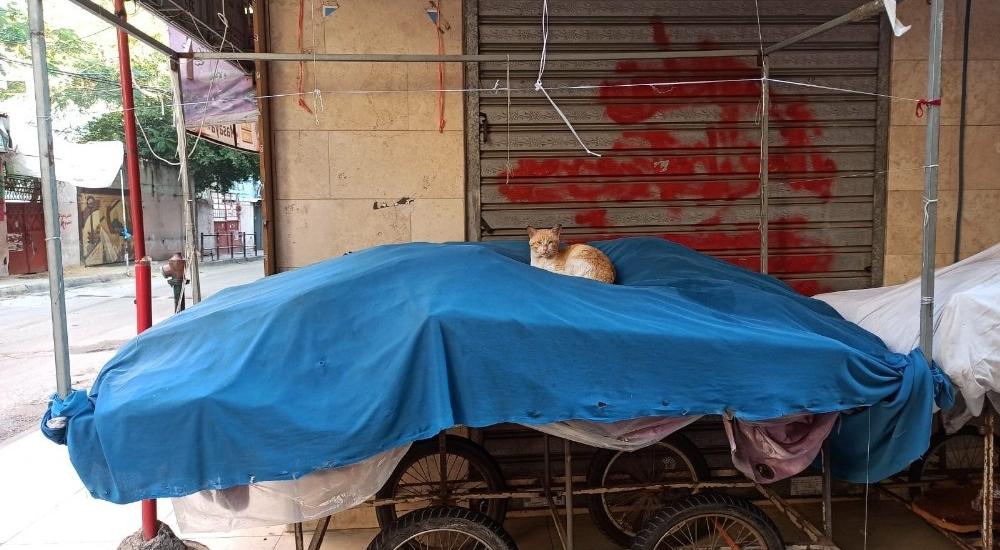 WhatsApp Image 2020-12-19 at 8.57.16 AM.jpg