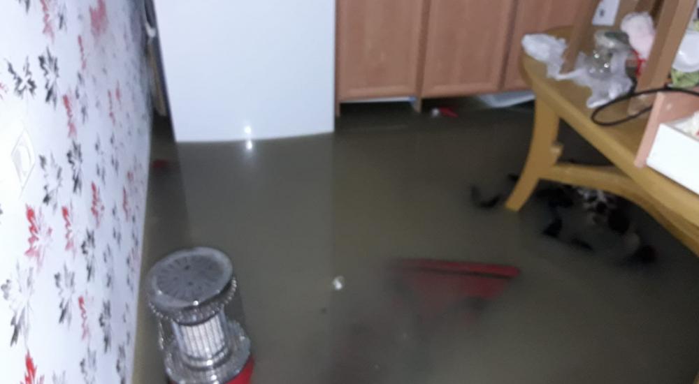 WhatsApp Image 2021-01-21 at 12.00.15 PM (1).jpeg