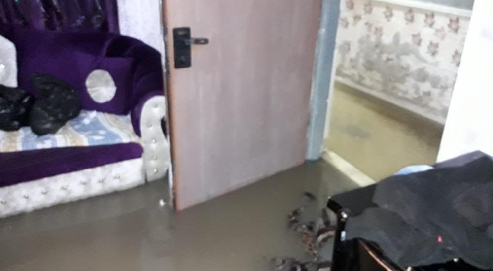 WhatsApp Image 2021-01-21 at 12.00.18 PM (1).jpeg