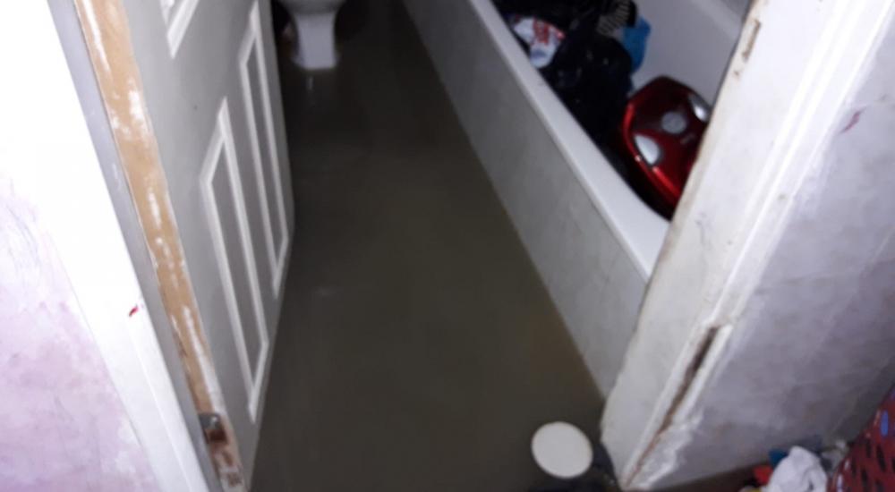 WhatsApp Image 2021-01-21 at 12.00.14 PM (2).jpeg