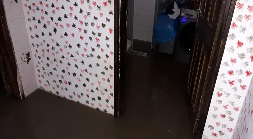 WhatsApp Image 2021-01-21 at 12.00.17 PM (1).jpeg