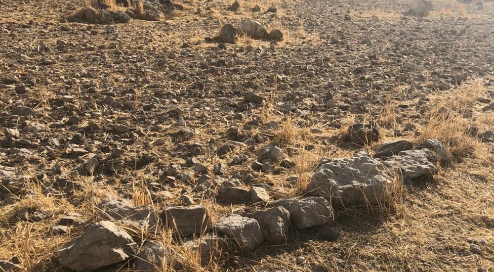 WhatsApp Image 2021-01-09 at 2.45.34 PM.jpeg