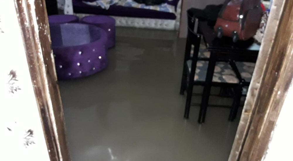 WhatsApp Image 2021-01-21 at 12.00.16 PM (1).jpeg