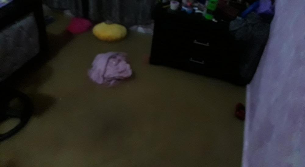 WhatsApp Image 2021-01-21 at 12.00.14 PM.jpeg