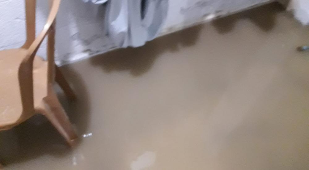 WhatsApp Image 2021-01-21 at 12.00.16 PM.jpeg