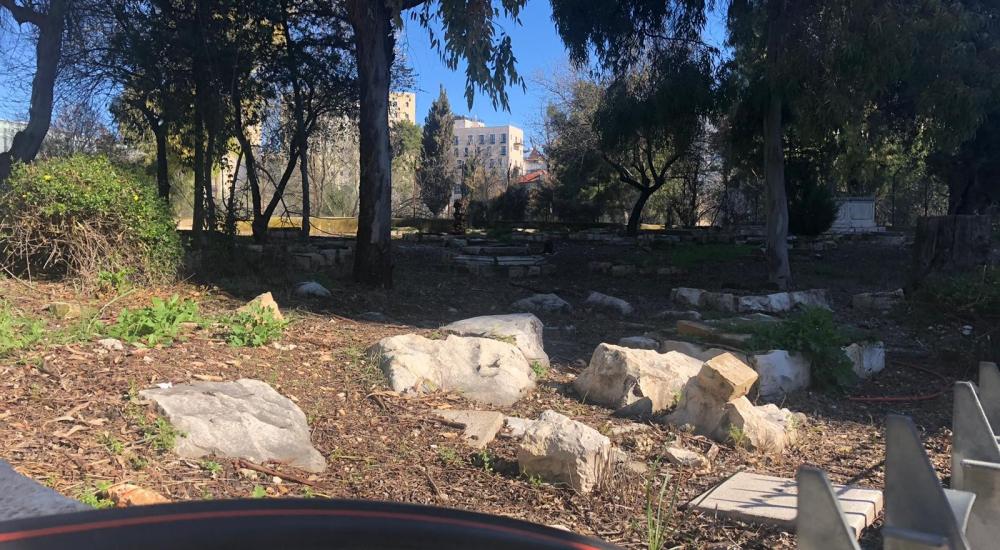 WhatsApp Image 2021-02-21 at 11.33.28 AM (2).jpeg