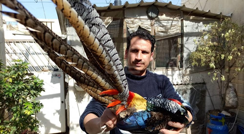 WhatsApp Image 2021-02-24 at 1.56.22 PM.jpg