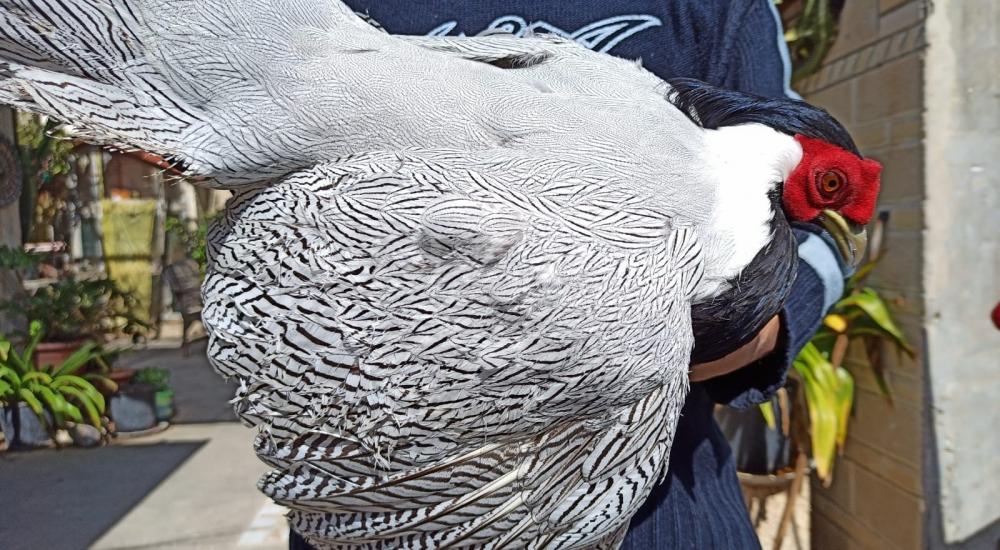 WhatsApp Image 2021-02-24 at 1.56.09 PM.jpg