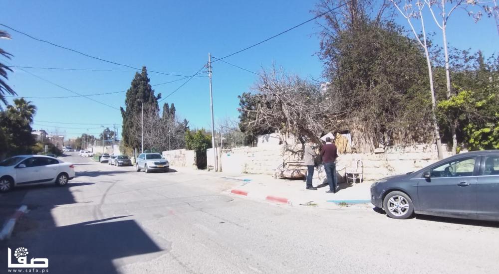 WhatsApp Image 2021-02-18 at 3.59.32 PM (2).jpg