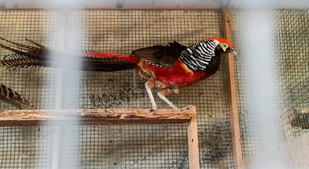 WhatsApp Image 2021-02-24 at 1.55.47 PM.jpg