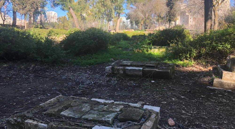 WhatsApp Image 2021-02-21 at 11.33.26 AM (1).jpeg