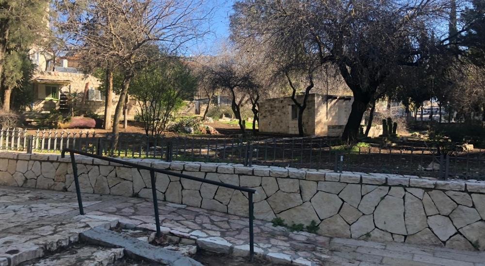 WhatsApp Image 2021-02-21 at 11.33.21 AM.jpeg