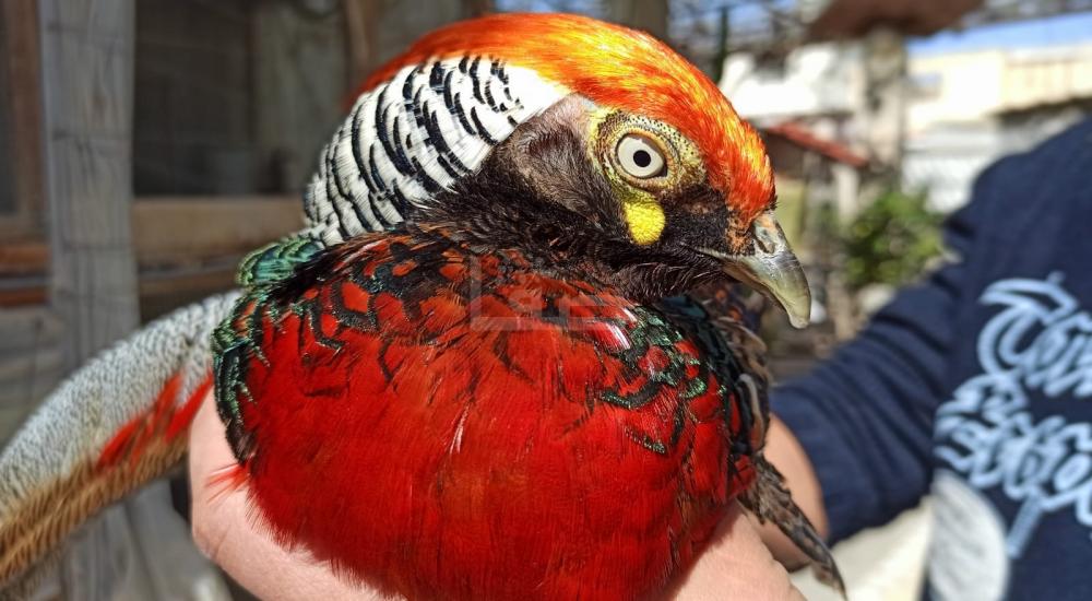 WhatsApp Image 2021-02-24 at 1.57.52 PM.jpg