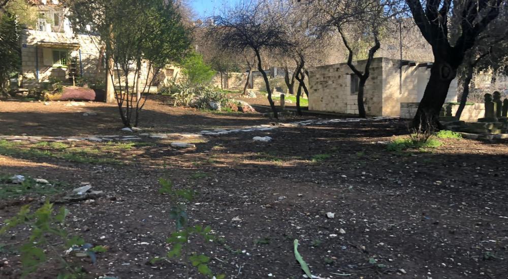 WhatsApp Image 2021-02-21 at 11.33.20 AM (2).jpeg